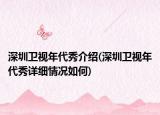 深圳卫视年代秀介绍(深圳卫视年代秀详细情况如何)