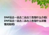 DNF远古一远古二远古三各指什么介绍(DNF远古一远古二远古三各指什么详细情况如何)