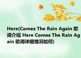 Here(Comes The Rain Again 歌词介绍 Here Comes The Rain Again 歌词详细情况如何)