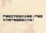 严道信王宁的是什么电视（严道信王宁哪个电视剧简介介绍）