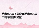 纳米盘怎么下载介绍(纳米盘怎么下载详细情况如何)