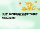 爱你1200字介绍(爱你1200字详细情况如何)