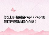 怎么打开控制台csgo（csgo如何打开控制台简介介绍）