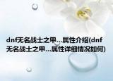 dnf无名战士之甲…属性介绍(dnf无名战士之甲…属性详细情况如何)