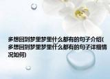 多想回到梦里梦里什么都有的句子介绍(多想回到梦里梦里什么都有的句子详细情况如何)
