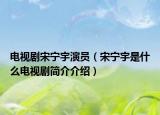 电视剧宋宁宇演员（宋宁宇是什么电视剧简介介绍）