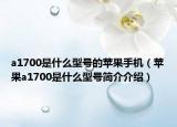 a1700是什么型号的苹果手机（苹果a1700是什么型号简介介绍）