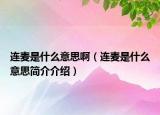 连麦是什么意思啊（连麦是什么意思简介介绍）