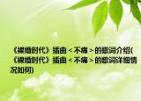 《裸婚时代》插曲＜不痛＞的歌词介绍(《裸婚时代》插曲＜不痛＞的歌词详细情况如何)