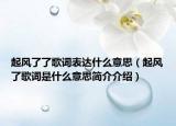 起风了了歌词表达什么意思（起风了歌词是什么意思简介介绍）