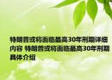 特朗普或将面临最高30年刑期详细内容 特朗普或将面临最高30年刑期具体介绍