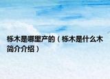 栎木是哪里产的（栎木是什么木简介介绍）