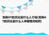 龙珠GT的贝比是什么人介绍(龙珠GT的贝比是什么人详细情况如何)