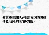 老娘舅和他的儿孙们介绍(老娘舅和他的儿孙们详细情况如何)