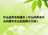 什么是乔木和灌木（什么叫乔木什么叫灌木怎么区别简介介绍）