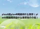 planA和planB网络语什么意思（planb网络用语是什么意思简介介绍）