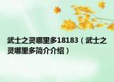 武士之灵哪里多18183（武士之灵哪里多简介介绍）