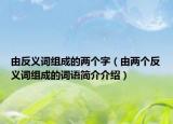 由反义词组成的两个字（由两个反义词组成的词语简介介绍）