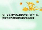 今日头条粉丝过万是啥感觉介绍(今日头条粉丝过万是啥感觉详细情况如何)