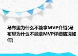 马布里为什么不能拿MVP介绍(马布里为什么不能拿MVP详细情况如何)