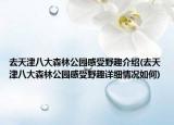 去天津八大森林公园感受野趣介绍(去天津八大森林公园感受野趣详细情况如何)