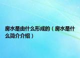 房水是由什么形成的（房水是什么简介介绍）