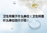 卫生所属于什么单位（卫生所是什么单位简介介绍）