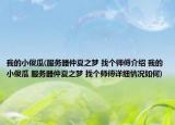 我的小傻瓜(服务器仲夏之梦 找个师傅介绍 我的小傻瓜 服务器仲夏之梦 找个师傅详细情况如何)