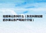 姑娘果山东叫什么（东北叫做姑娘的水果山东产吗简介介绍）