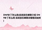 DNF补丁怎么用(应该放在哪里介绍 DNF补丁怎么用 应该放在哪里详细情况如何)
