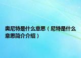奥尼特是什么意思（尼特是什么意思简介介绍）