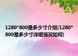 1280*800是多少寸介绍(1280*800是多少寸详细情况如何)
