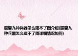 魔兽九种兵器怎么建不了图介绍(魔兽九种兵器怎么建不了图详细情况如何)