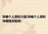 毕畅个人资料介绍(毕畅个人资料详细情况如何)