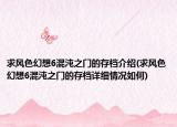 求风色幻想6混沌之门的存档介绍(求风色幻想6混沌之门的存档详细情况如何)