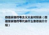 微信表情符号含义大全对照表（微信里表情符号代表什么意思简介介绍）