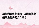 草鱼和鲤鱼刺多吗（草鱼刺多还是鲤鱼刺多简介介绍）