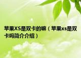 苹果XS是双卡的嘛（苹果xs是双卡吗简介介绍）