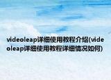 videoleap详细使用教程介绍(videoleap详细使用教程详细情况如何)