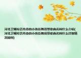 河北卫视综艺传奇的小孩街舞背景歌曲名叫什么介绍(河北卫视综艺传奇的小孩街舞背景歌曲名叫什么详细情况如何)