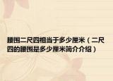 腰围二尺四相当于多少厘米（二尺四的腰围是多少厘米简介介绍）