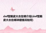 dnf雪魈皮大衣在哪介绍(dnf雪魈皮大衣在哪详细情况如何)