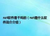 nzt软件是干吗的（nzt是什么软件简介介绍）