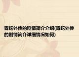 青蛇外传的剧情简介介绍(青蛇外传的剧情简介详细情况如何)