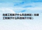 在建工程属于什么科目类别（在建工程属于什么科目简介介绍）