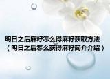 明日之后麻籽怎么得麻籽获取方法（明日之后怎么获得麻籽简介介绍）