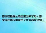 陈文锦最后从陨玉里出来了吗（陈文锦在陨玉里发生了什么简介介绍）