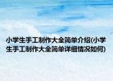 小学生手工制作大全简单介绍(小学生手工制作大全简单详细情况如何)