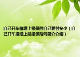 自己开车撞墙上报保险自己要付多少（自己开车撞墙上能报保险吗简介介绍）