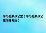 半马是多少公里（半马是多少公里简介介绍）